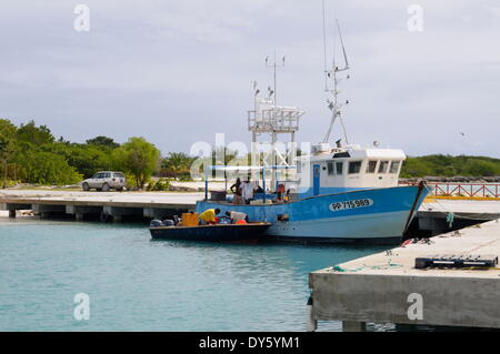 Angelboot/Fischerboot im Hafen in Barbuda, Antigua und Barbuda, Leeward-Inseln, West Indies, Karibik, Mittelamerika Stockfoto