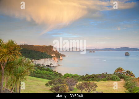 Cathedral Cove Marine Reserve (Te Whanganui-A-Hei) bei Sonnenaufgang, Coromandel Peninsula, Waikato, North Island, Neuseeland, Pazifik Stockfoto