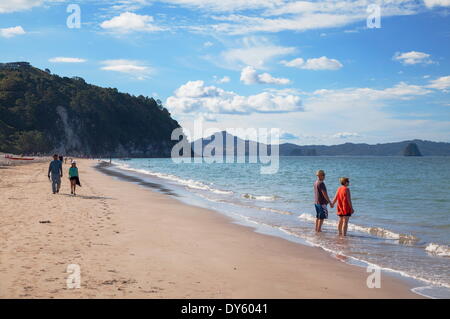 Hahei Strand, Coromandel Peninsula, Waikato, North Island, Neuseeland, Pazifik Stockfoto