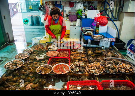 Fisch zum Verkauf an den modernen Fischmarkt in Busan, Südkorea, Asien Stockfoto