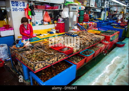 Fisch zum Verkauf an den modernen Fischmarkt in Busan, Südkorea, Asien Stockfoto