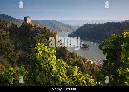 Blick von den Weinbergen auf Burg Gutenfels und Burg Pfalzgrafenstein, UNESCO-Weltkulturerbe, in der Nähe von Kaub, Rhein, Stockfoto