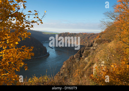 Blick vom Rheinsteig Wanderweg über den Spitznack-Felsen an der Loreley, in der Nähe von St. Goarshausen, Rhein, Rheinland-Pfalz Stockfoto