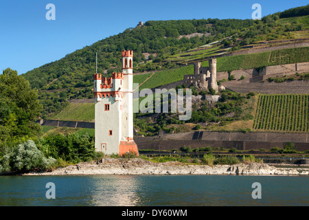 Mäuseturm und Ehrenfels Burg, UNESCO-Weltkulturerbe, in der Nähe von Bingen, Rhein, Rheinland-Pfalz, Deutschland Stockfoto