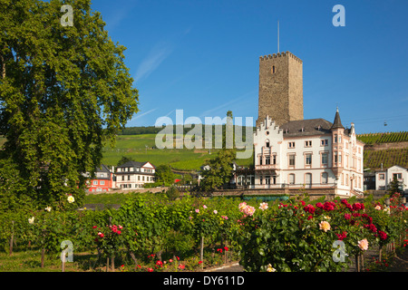 Boosenburg, Unesco Weltkulturerbe, Rüdesheim, Rheingau, Rhein, Hessen, Deutschland Stockfoto