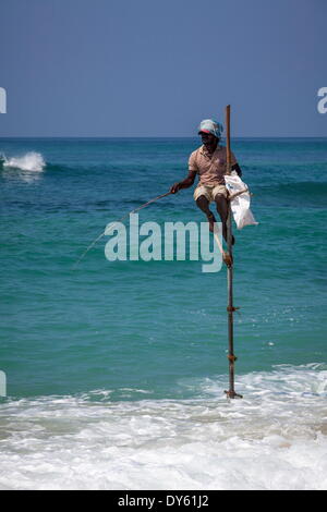 Stelzenläufer Fischer mit traditionellen Techniken auf eine Holzstange, Weligama, Sri Lanka, Indischer Ozean, Asien Stockfoto