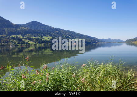 Alpsee See, Immenstadt, Allgäu, Bayern, Deutschland, Europa Stockfoto