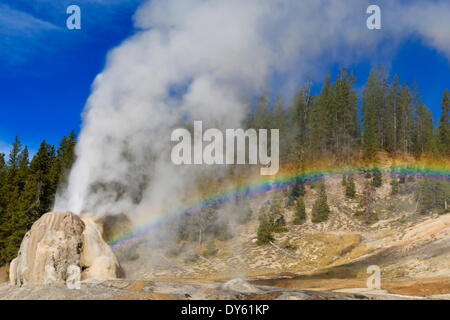 Lone Star Geysir bricht aus und schafft Regenbogen, der UNESCO, Yellowstone-Nationalpark, Wyoming, USA Stockfoto