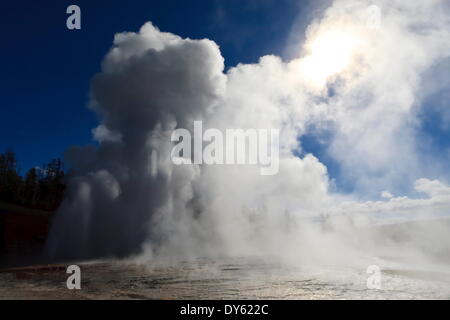 Grand Geysir bricht aus und Dampf blockiert die Sonne, der Upper Geyser Basin, Yellowstone-Nationalpark, der UNESCO, Wyoming, USA Stockfoto