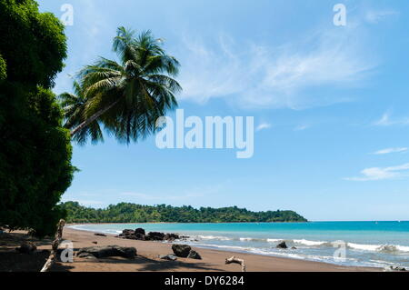 Drake Bay, Halbinsel Osa, Costa Rica, Mittelamerika Stockfoto