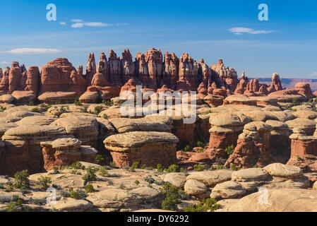 Felsformationen, The Needles Sektion des Canyonlands National Park, Utah, USA Stockfoto