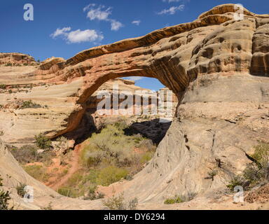 Sipapu Brücke, Natural Bridges National Monument, Utah, Vereinigte Staaten von Amerika, Nordamerika Stockfoto