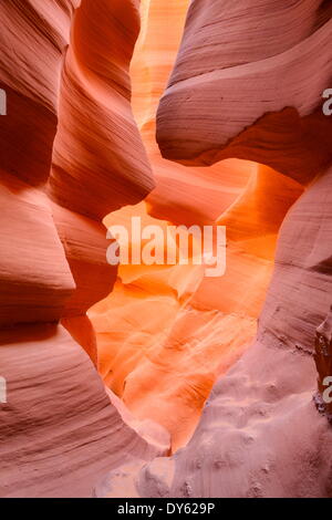 Lower Antelope Canyon in der Nähe von Page, Arizona, Vereinigte Staaten von Amerika, Nordamerika Stockfoto