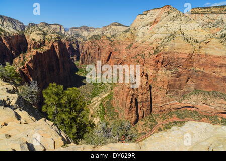 Blick von Angels Landing, Zion Nationalpark, Utah, Vereinigte Staaten von Amerika, Nordamerika Stockfoto