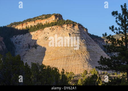 Checkerboard Mesa, Zion Nationalpark, Utah, Vereinigte Staaten von Amerika, Nordamerika Stockfoto