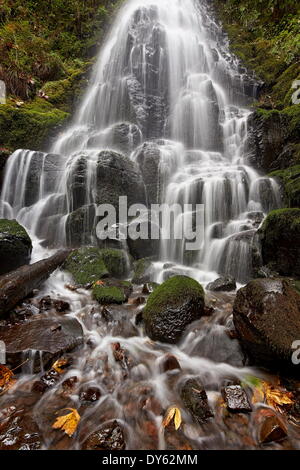 Fee fällt in den Herbst, Columbia River Gorge, Oregon, Vereinigte Staaten von Amerika, Nord Amerika Stockfoto