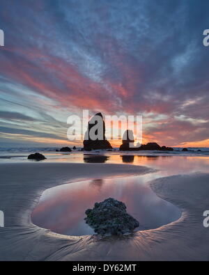Meer-Stacks bei Sonnenuntergang, Cannon Beach, Oregon, Vereinigte Staaten von Amerika, Nordamerika Stockfoto