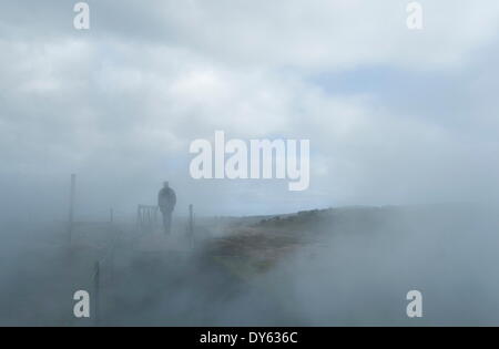 Gunnuhver Sprudel, Halbinsel Reykjanes, Island, Polarregionen Stockfoto