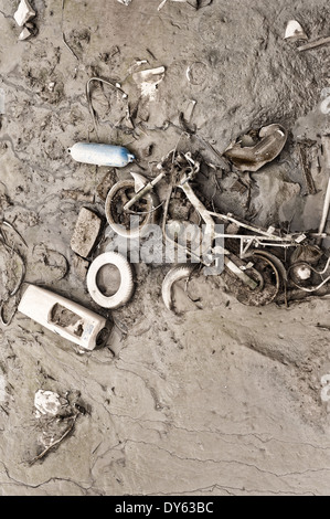 versteckt abgelegten Objekte entdeckt bei Ebbe an Mündung der Themse in Schlamm Schlamm Algen Film bedeckt weggeworfen Stockfoto