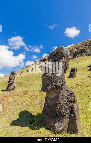 Rano Raraku, der Steinbruch für alle Moai Statuen auf den Osterinseln (Isla de Pascua) (Rapa Nui), der UNESCO, Chile Stockfoto