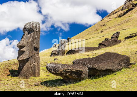 Rano Raraku, der Steinbruch für alle Moai Statuen auf den Osterinseln (Isla de Pascua) (Rapa Nui), der UNESCO, Chile Stockfoto