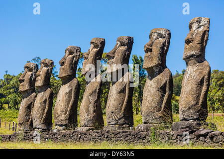 Sieben Moais am Ahu Akivi, der erste restaurierte Altar auf Ostern Insel (Isla de Pascua) (Rapa Nui), der UNESCO, Chile Stockfoto