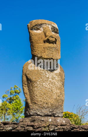 Detail der Moais am Ahu Akivi, der erste restaurierte Altar auf Ostern Insel (Isla de Pascua) (Rapa Nui), der UNESCO, Chile Stockfoto