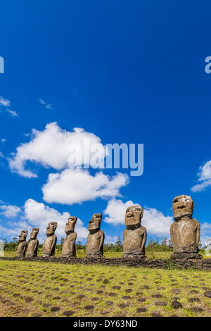 Sieben Moais am Ahu Akivi, der erste restaurierte Altar auf Ostern Insel (Isla de Pascua) (Rapa Nui), der UNESCO, Chile Stockfoto