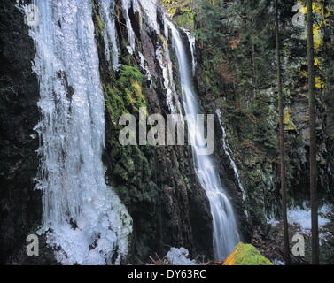 Eisskulpturen Sie, Burgbach Wasserfall, Bad Rippldsau-Schappach, Schwarzwald, Baden-Württemberg, Deutschland, Europa Stockfoto