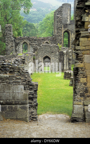 Wales, Valle Crucis Abbey gegründet 1201, in der Nähe von Llangollen. Denbighshire. Stockfoto