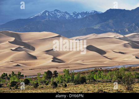 Medano Creek mit den Sanddünen und Cleveland Spitze Feder im Great Sand Dunes National Park 29. Mai 2013 in Mosca, Colorado. Stockfoto