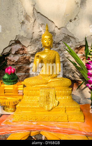 Goldene Buddha-Statue im Tempel in thailand Stockfoto