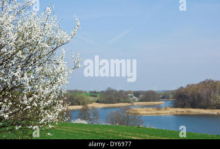 Lietzen, Deutschland. 30. März 2014. Frühling Landschaft gesehen aus dem Oderbruch Radweg in der Nähe von Lietzen, Deutschland, 30. März 2014. Der 142 Kilometer lange Radweg führt teilweise entlang stillgelegter Eisenbahnstrecken, führt vom Fuerstenwalde zu Wriezen. Der Radweg geht vorbei an Feldern, Wiesen und durch typische Dörfer der Region Oderbruch, wo viele Künstler und Kunsthandwerker niedergelassen haben. Foto: Patrick Pleul/ZB - Live News WIRE SERVICE/Dpa/Alamy Stockfoto