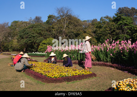 Frauen, die die Gartenarbeit in die National Kandawgyi Botanical Gardens in Pyin U Lwin, Myanmar Stockfoto