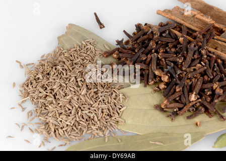 Zutaten für Garam Masala indisches Gewürz mischen Stockfoto