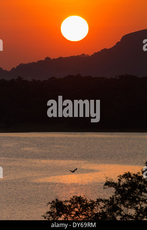 Sonnenuntergang über das Kandalama Reservoir in Dambulla, Sri Lanka 11 Stockfoto