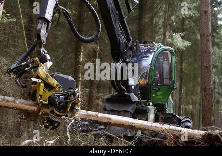 Torfbruecke, Deutschland. 8. April 2014. Wald-Arbeiter entfernen Schäden, verursacht durch den Hurrikan im Dezember 2013 in der Nähe von Torfbruecke, Deutschland, 8. April 2014 Holz. Der Bericht über den Zustand der Wälder 2013 ist in Schwerin am 8. April 2014 vorgestellt. Foto: Bernd Wuestneck/Dpa/Alamy Live News Stockfoto