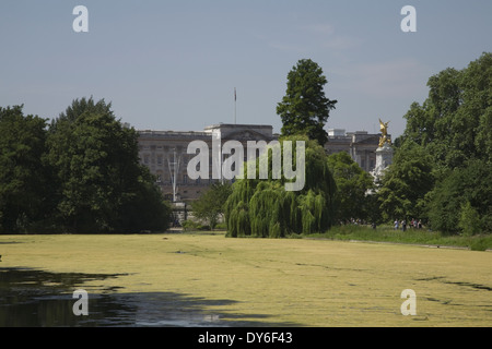 Ansicht des Buckingham Palace vom St James park Stockfoto