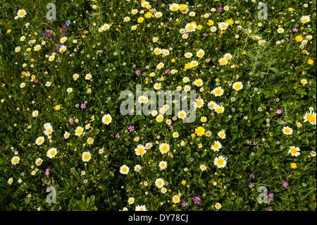 Naturschutzgebiet in Sizilien Stockfoto