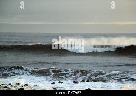 Kalten Winterwellen brechen in Coney Strand Porthcawl Südwales mit ablandigem Wind Stockfoto