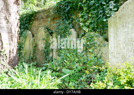 Alten Efeu bedeckt Grabsteine lehnte sich gegen eine Wand in der Ecke ein UK-Kirchhof Stockfoto