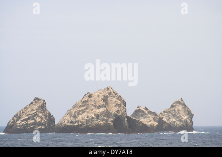 Shag Rocks, extrem abgelegenen Inseln zwischen Südgeorgien und der Antarktis. Stockfoto
