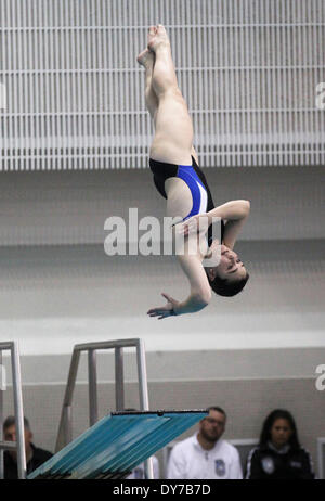 Austin, Texas, USA. 22. Februar 2014. Alamo Heights Neuling Taucher Sine Scribbick Wendungen in Luft, einen Tauchgang in der 1 Meter Tauchen Wettbewerb bei der UIL schwimmen und Tauchen Meisterschaften in Austin auf Samstag, 22. Februar 2014 abzuschließen. Scribbick hat gold in der Veranstaltung. © San Antonio Express-News/ZUMAPRESS.com/Alamy Live-Nachrichten Stockfoto