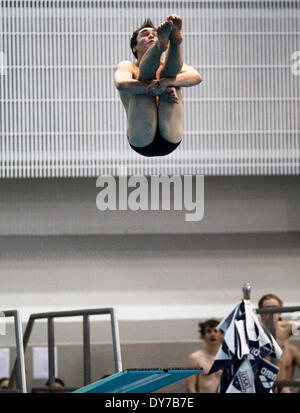 Austin, Texas, USA. 22. Februar 2014. Alamo Heights senior Taucher Finn Scribbick schleudert seinen Körper in die Luft, einen Tauchgang in der 1 Meter Tauchen Wettbewerb bei der UIL schwimmen und Tauchen Meisterschaften in Austin auf Samstag, 22. Februar 2014 abzuschließen. Scribbick hat gold in der Veranstaltung. © San Antonio Express-News/ZUMAPRESS.com/Alamy Live-Nachrichten Stockfoto