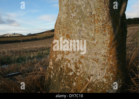 Bruceton Pictish Stein Stockfoto