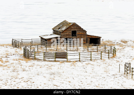 41,674.04209 alten rustikalen Ranch Scheune und Runde Pfosten Zaun corral verschneite Schneelandschaft kalten Winter BC Kanada Stockfoto