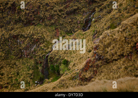 Gebirgsbach abstürzende einen Hang entlang den Spuren der Tongariro Alpine Crossing, Neuseeland. Stockfoto