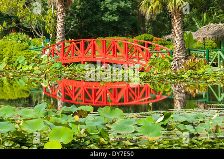 Brücke am Main See, Blue Lotus Wassergärten, Yarra Verzweigung, Victoria, Australien Stockfoto