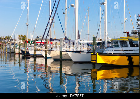 Segelboote und anderen Sportbooten angedockt an der Annapolis Yacht Club auf Spa ß in Annapolis, Maryland. Stockfoto