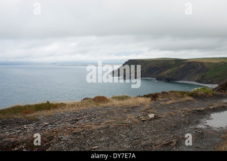 Blick entlang der Küste Nord-Cornish zwischen Richtung Crackington Haven von Boscastle Stockfoto